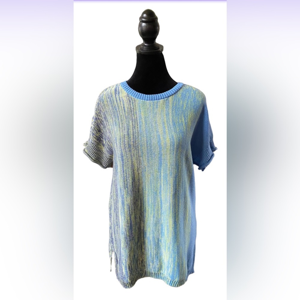 Logo Lori Goldstein: Blue and Green Short Sleeve Sweater